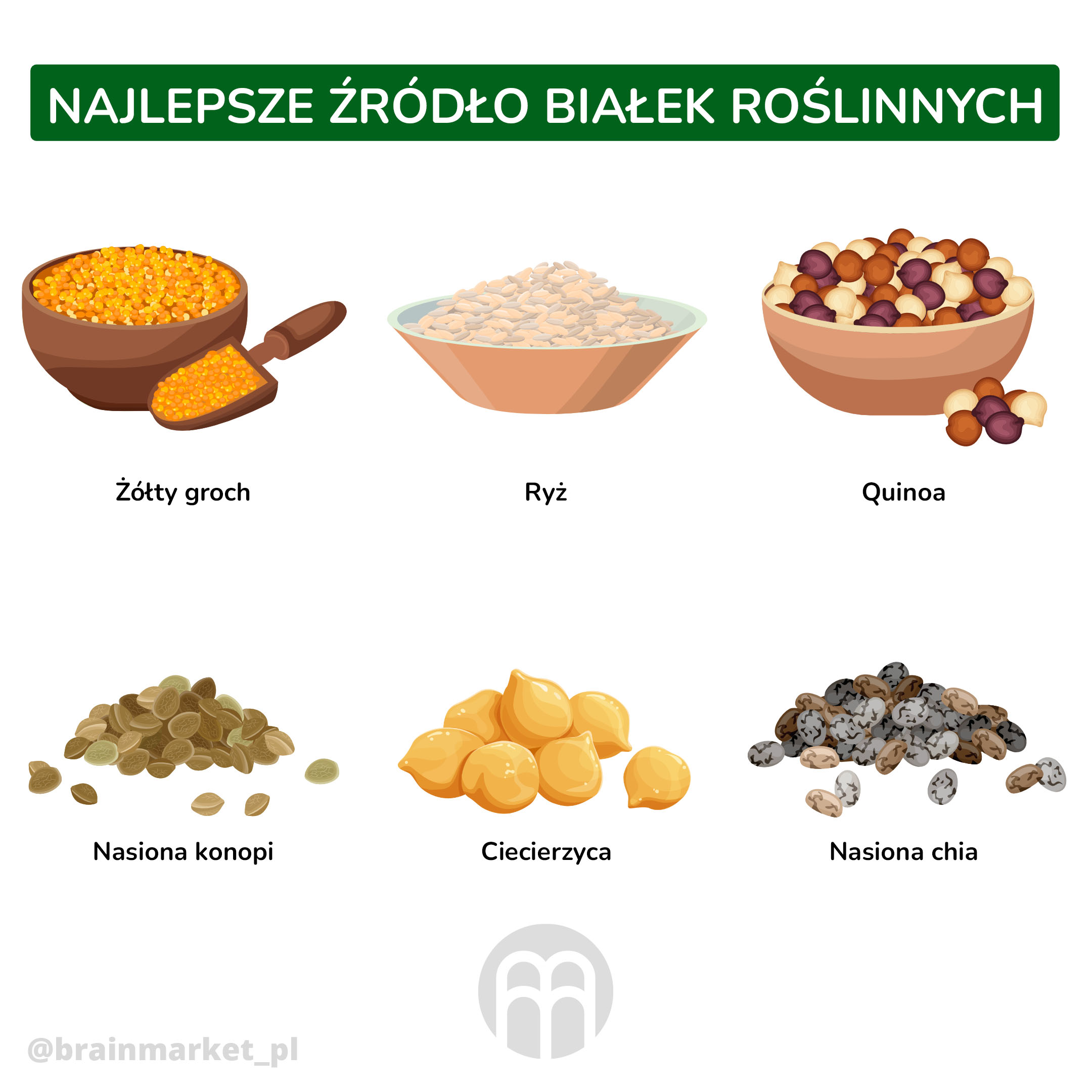 NAJLEPSZE ŹRÓDŁO BIAŁEK ROŚLINNYCH._infografika_cz kopie